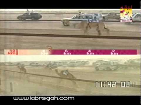 نيران ملك_هجن العاصفه سيف سمو الأمير 28-4-2010-ت ١٦:١٦:٠٤