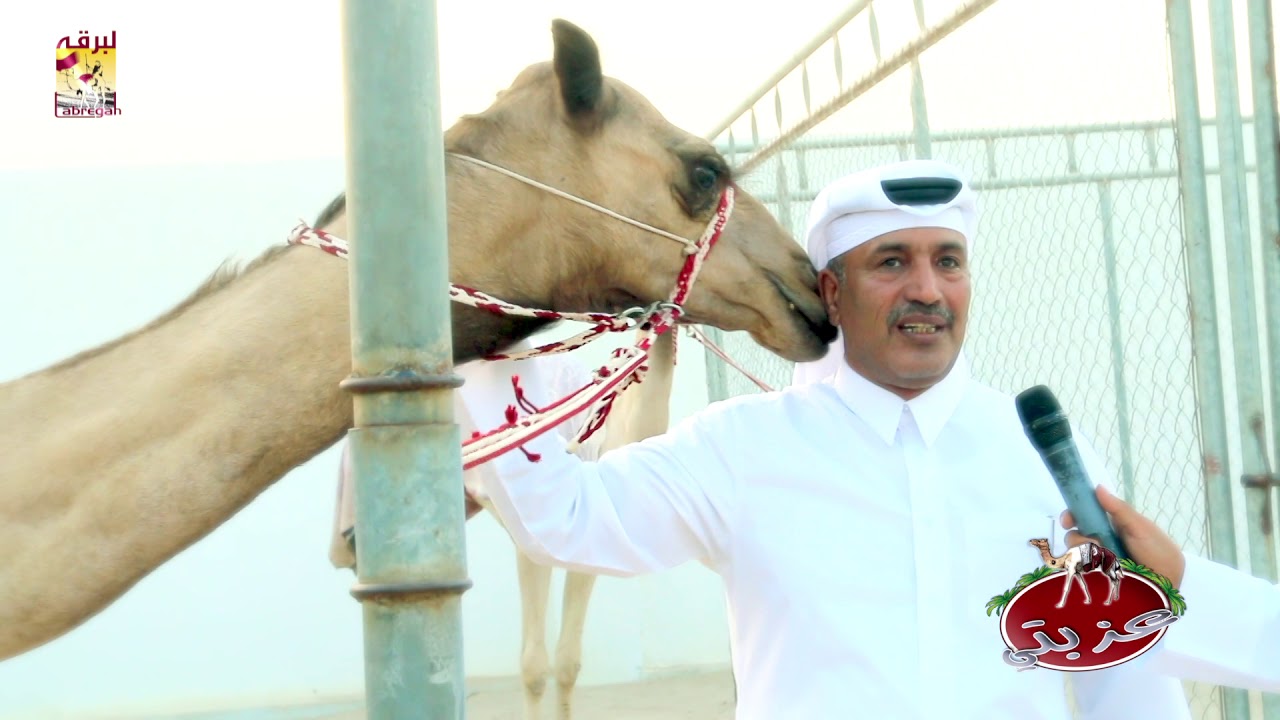 عزبة/ فهد بن سيف الخيارين