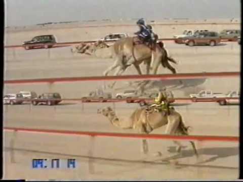 الهايلة لـ صالح محمد اللحيمرالمري – مهرجان درهام التحدي 26/4/2004 – الشلفة الفضية حيل قبائل