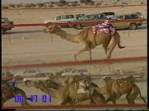 نشوة لـ سالم حمد دري الفلاحي – مهرجان درهام التحدي 16/5/2006 – ثنايا بكار قبائل 13:16:19