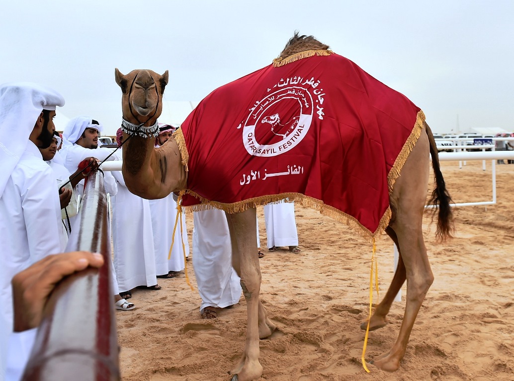 اللجنة المنظمة تؤجل مهرجان المزاين للعام القادم