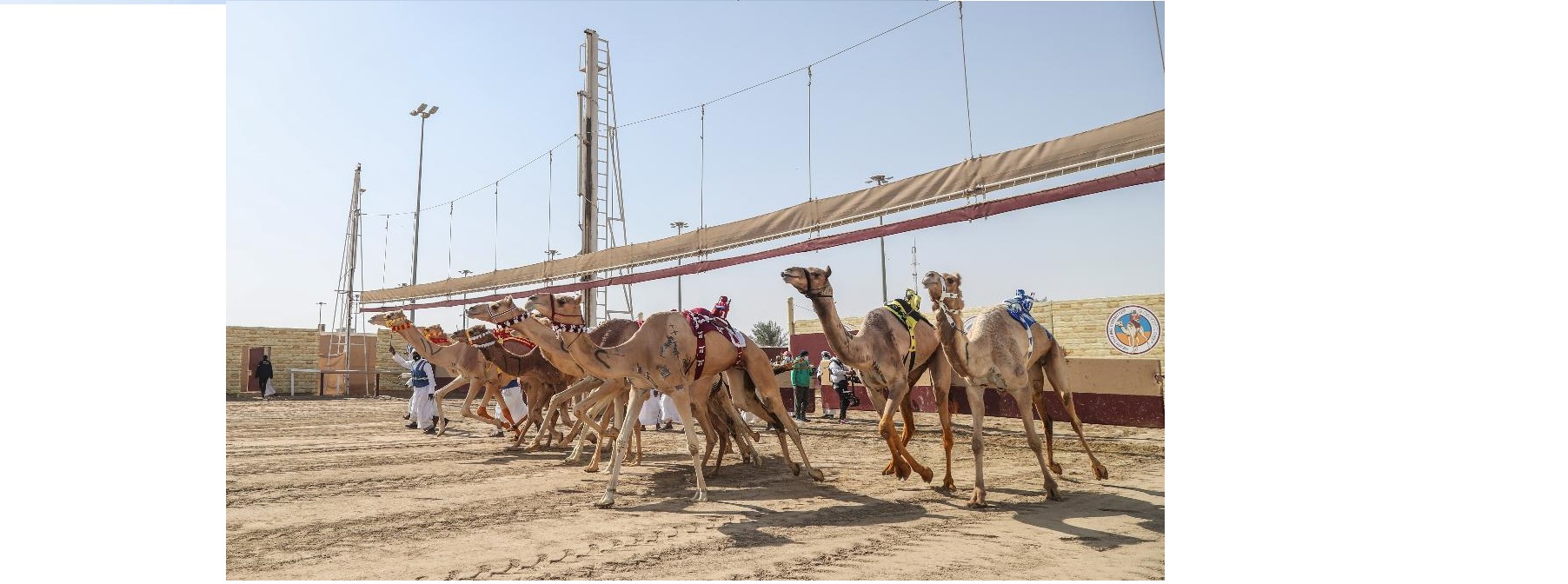 ترتيب انطلاقة الأشواط الختامية لمهرجان الأمير الوالد 2021