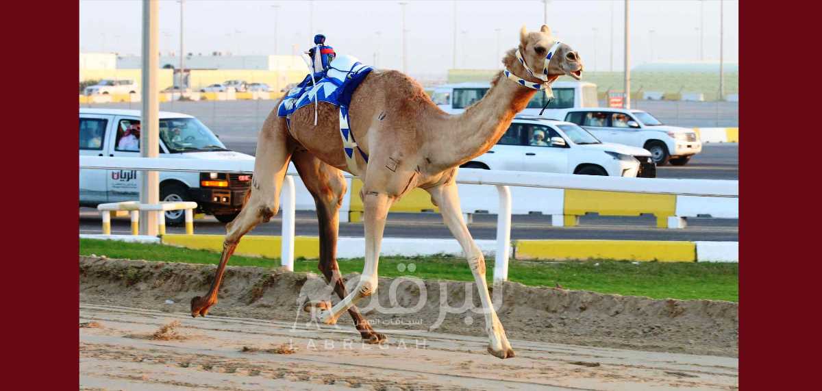 تحديات الثنايا تشعل أجواء ميدان التحدي
