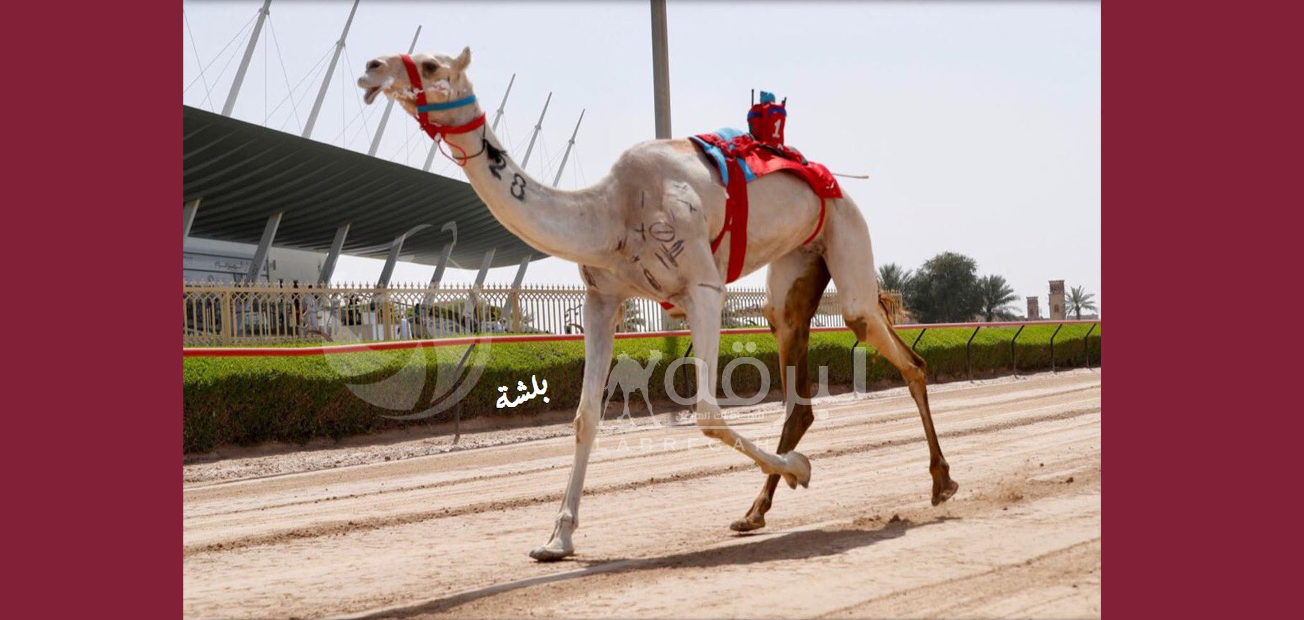 العاصفة والرئاسة يحسمان رموز الثنايا