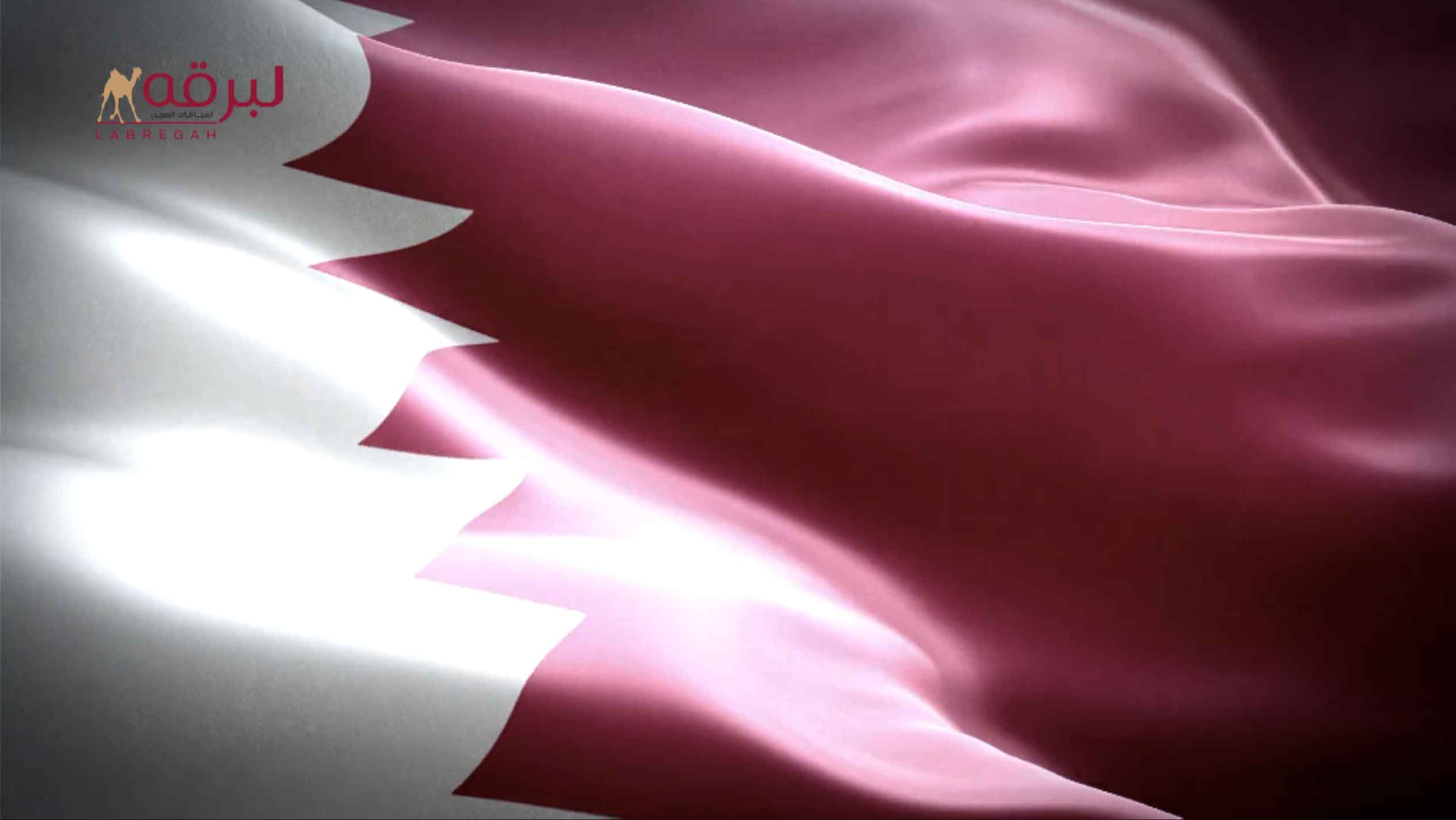شديدة لـ سعادة الشيخ تميم بن عبدالله بن خليفة آل ثاني (المضمر: ناصر بن مسفر الشهواني) كأس الجذاع بكار مفتوح بمهرجان ختامي المرموم 2002 ميدان ند الشبا 9:45:4