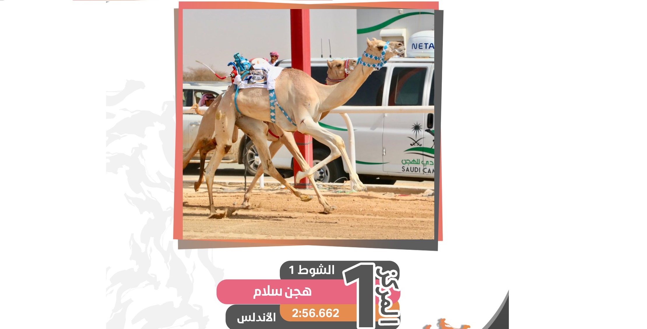 هجن سلام تحسم ناموس الحقايق بكار.. والنابت المري يخطف صدارة القعدان
