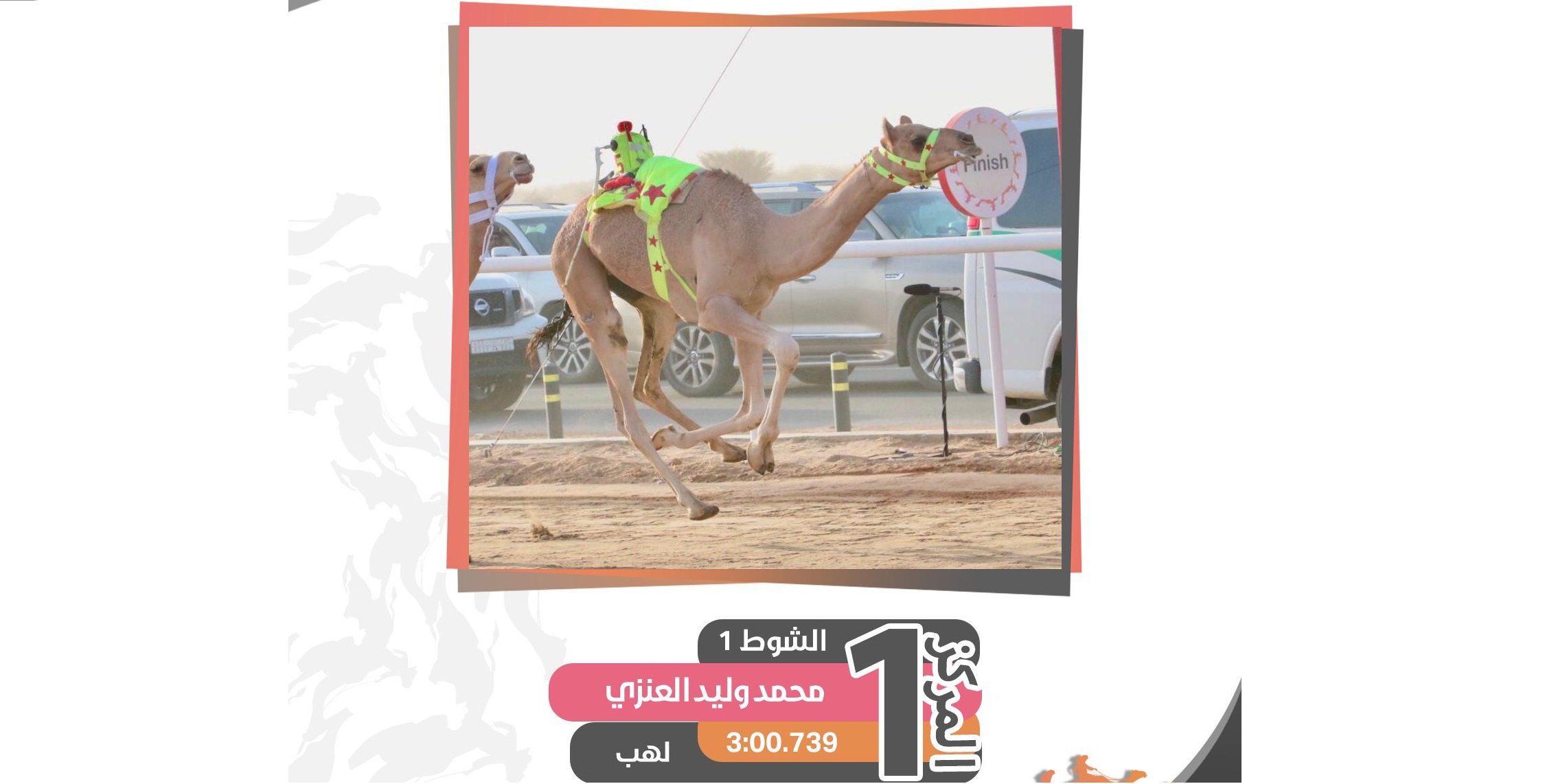 “لهب” للعنزي تقص شريط النواميس لختامي مهرجان ولي العهد الثالث للهجن بالسعودية