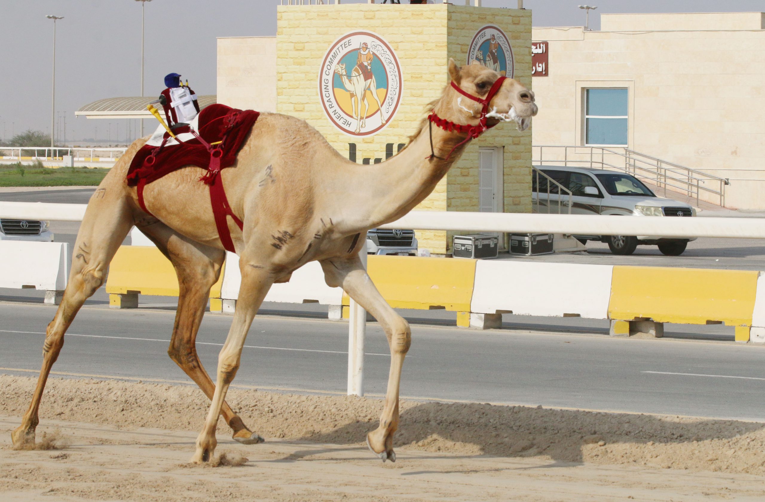الحيل والزمول شيوخ تختتم منافسات المحلي الرابع بميدان التحدي