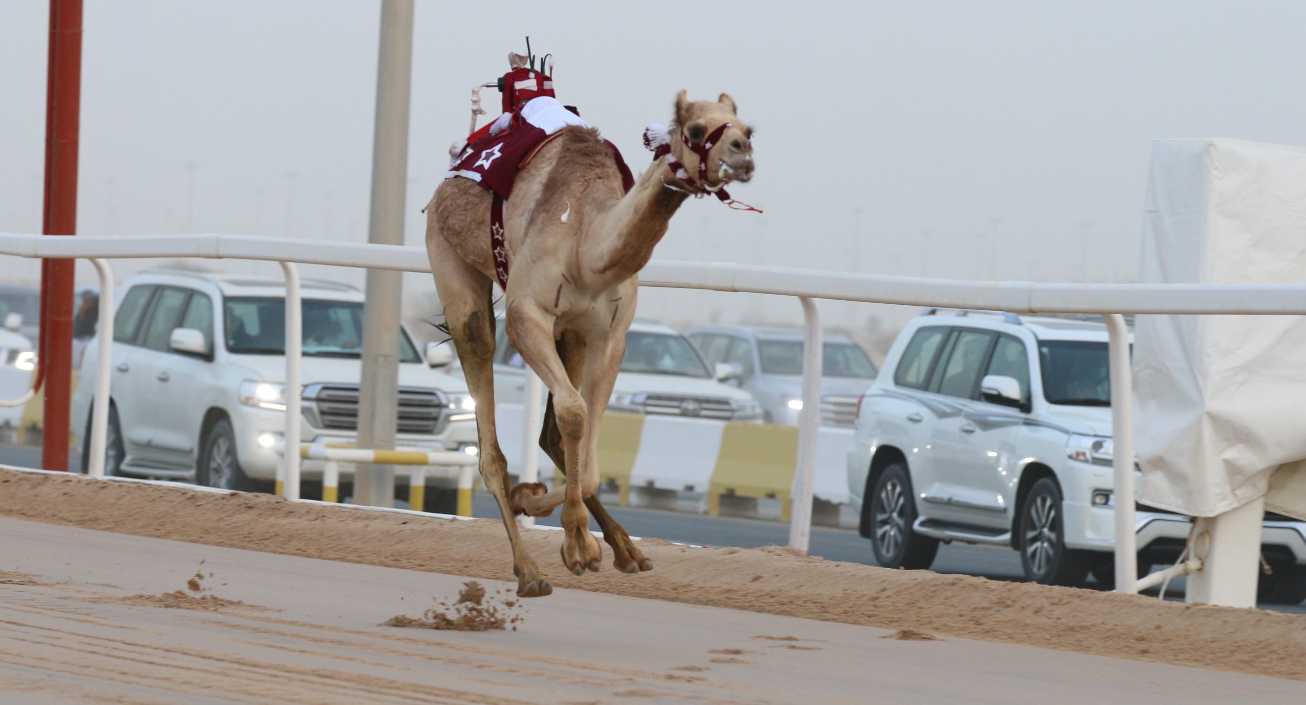 بداية نارية لمهرجان سمو الأمير الوالد 2022