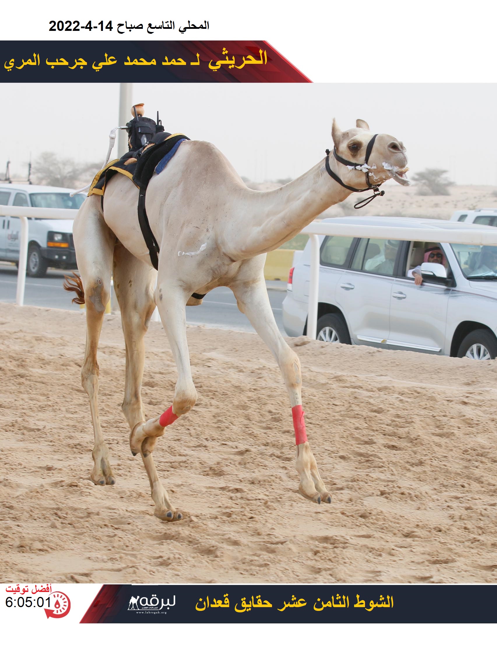 “صواب” للبريص تصيب ناموس الحقايق بكار