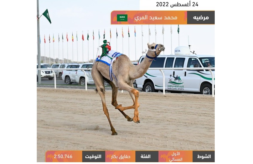 البريص المري ومشبب القحطاني يظفران بناموسي الحقايق عام