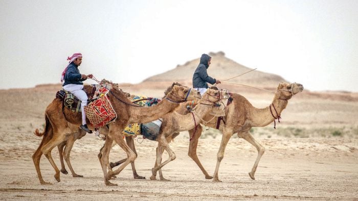 فريق «حالول» يواصل الصدارة ببطولة «القلايل» 2024 و«مسيمير» يلاحقه