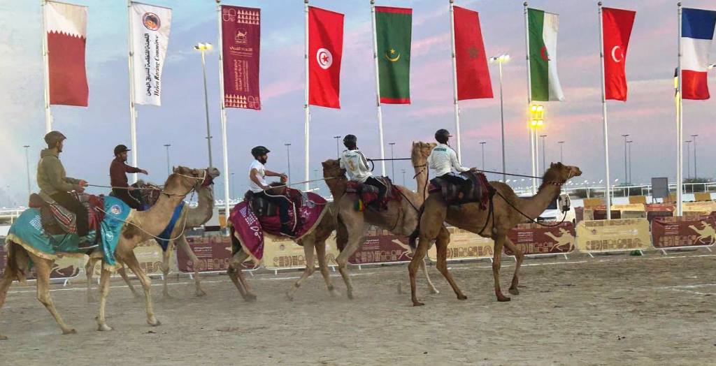 إثارة وندية كبيرة في ختام الدور ربع النهائي لبطولة يد الهجانة