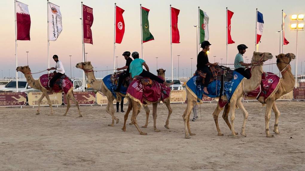 إثارة وقوة كبيرة ببطولة كرة يد الهجانة بالشحانية