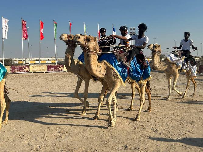 فعاليات البطولة الدولية الثالثة لـ (كرة يد الهجانة) المقامة علي هامش مهرجان حضرة صاحب السمو الشيخ تميم بن حمد ال ثاني، أمير البلاد المفدى 1-3-2024