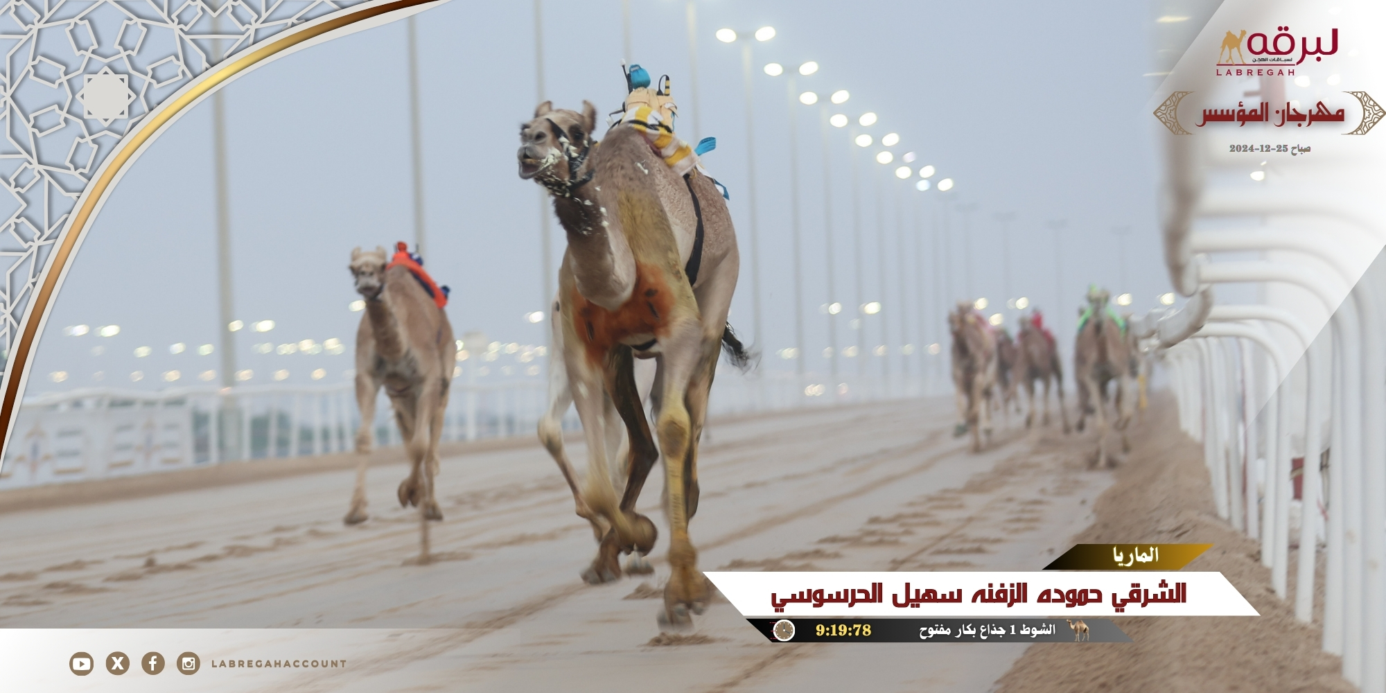 منافسات قوية على نواميس الجذاع العامة (العينية)