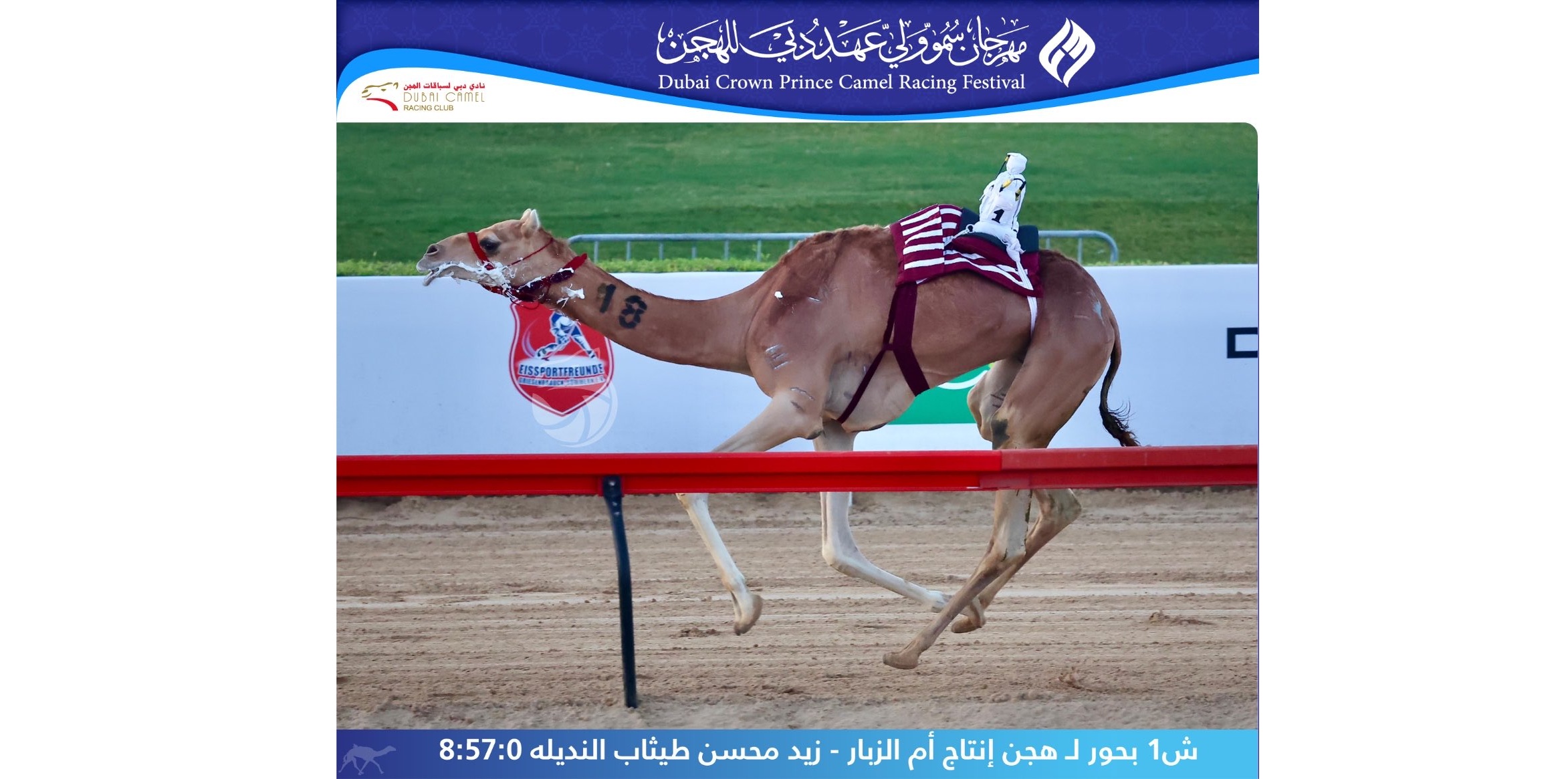 هجن أم الزبار والرئاسة يتقاسمان ناموسي الجذاع
