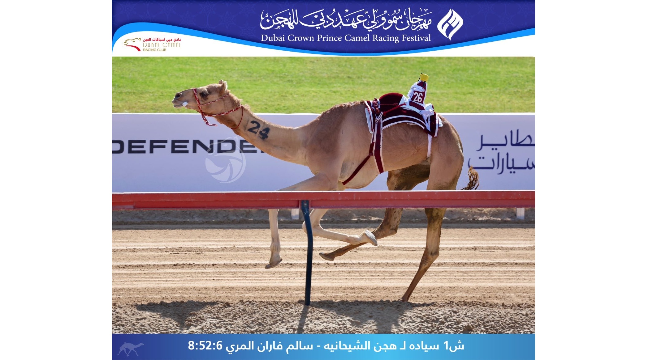 هجن الشحانية وأم الزبار تواصلان الانتصارات خارج الحدود