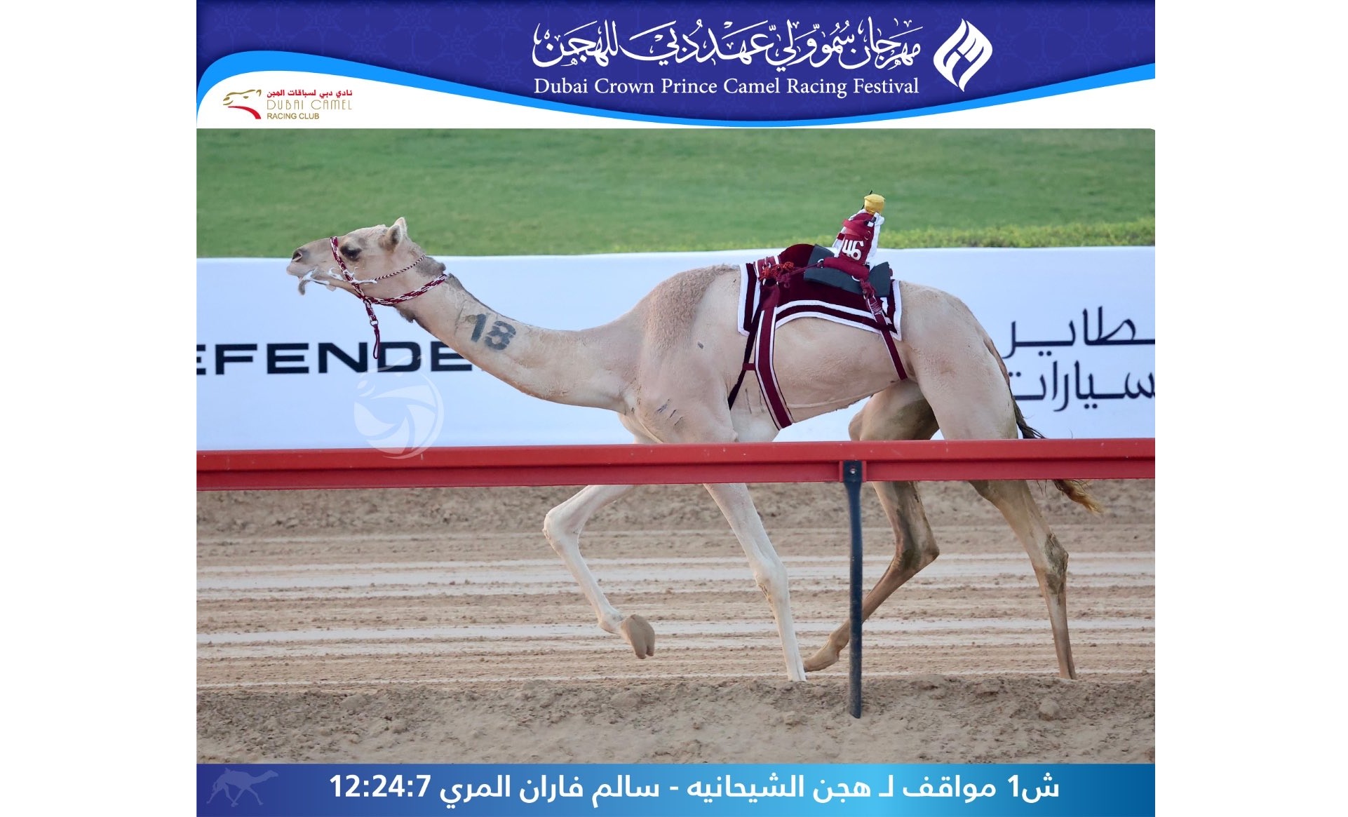 هجن الشحانية والرئاسة تسيطران على تحديات الثنايا بمهرجان سمو ولي عهد دبي