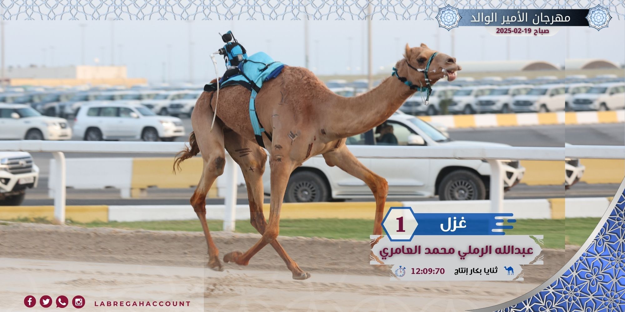 منافسات الثنايا إنتاج تفتتح مرحلة الكبار من مهرجان الأمير الوالد بالشحانية