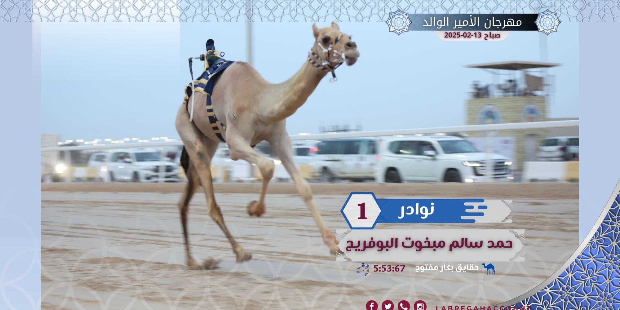 منافسات قوية وتوقيتات مميزة في انطلاقة مهرجان سمو الأمير الوالد للهجن 2025