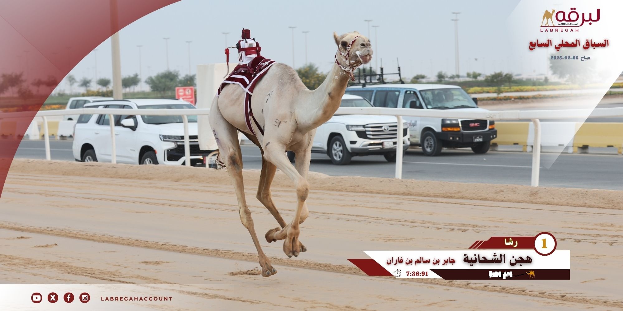 هجن الشحانية تحلق بصدارة اللقايا بكار مفتوح