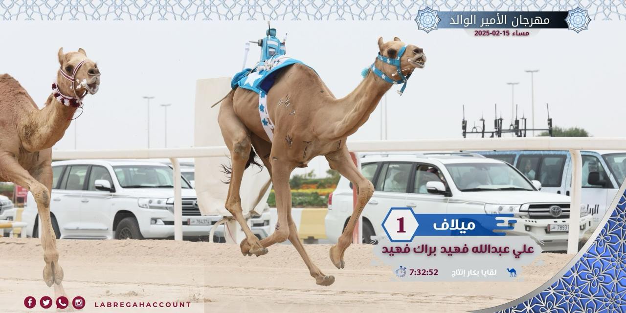 تحديات اللقايا إنتاج تشعل الأجواء بثالث أيام مهرجان الأمير الوالد