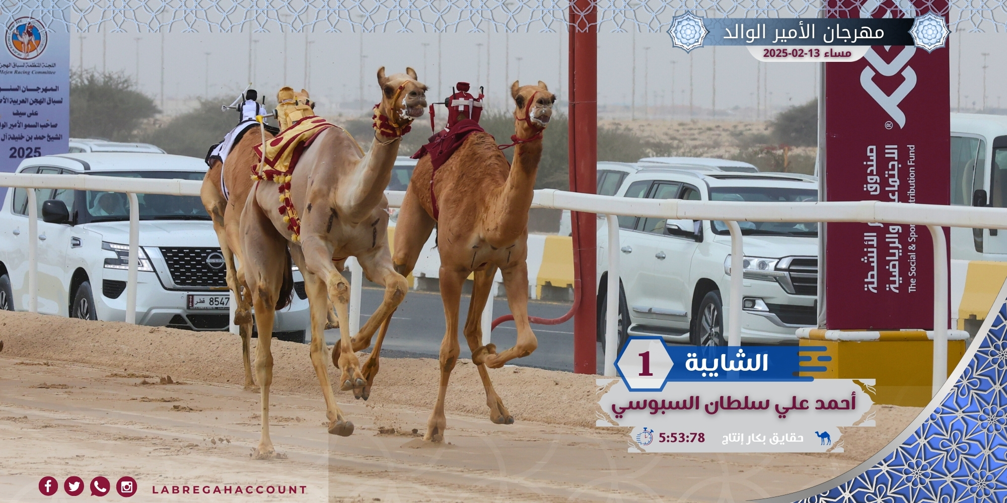 «الشايبة» و«سلهود» يهديان أحمد السبوسي ناموسي الحقايق إنتاج