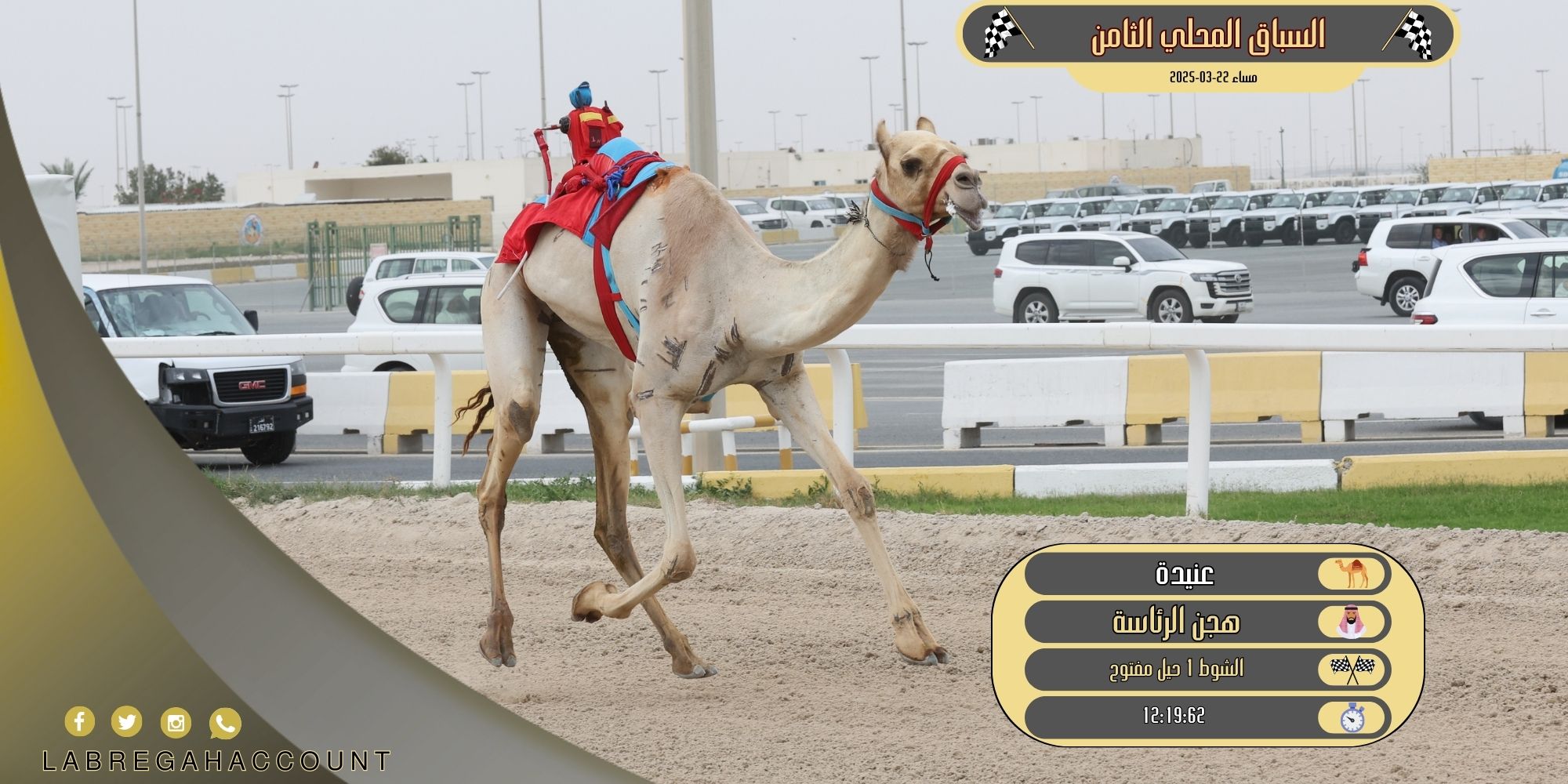 تحديات الحيل والزمول المفتوحة تسدل الستار على السباق المحلي الثامن