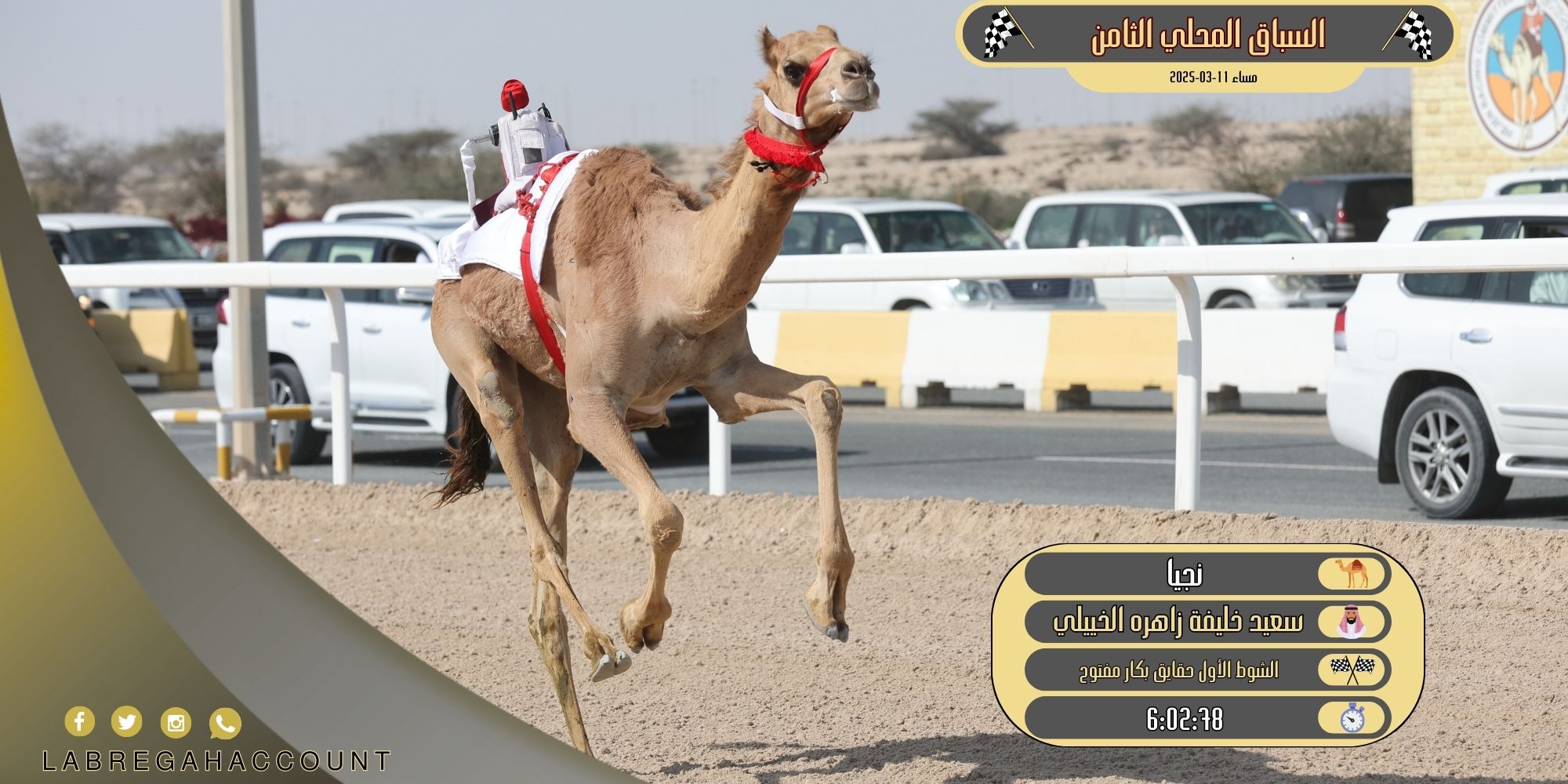 “نجيا” لبن زاهرة الخييلي تخطف ناموس الحقايق بكار بأداء رائع وتوقيت مميز