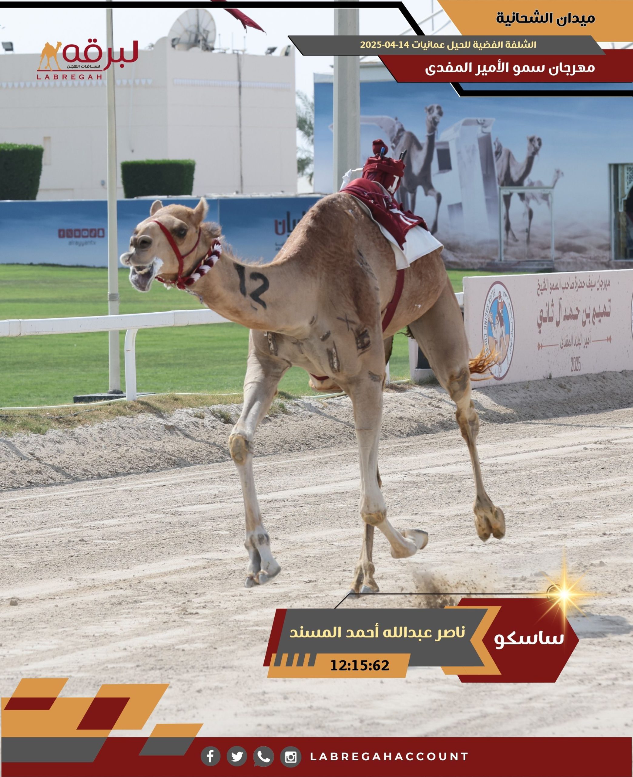 المسند والبريدي وبن غدير وبن مرخان والزرعي يتوجون برموز الحيل والزمول الفضية
