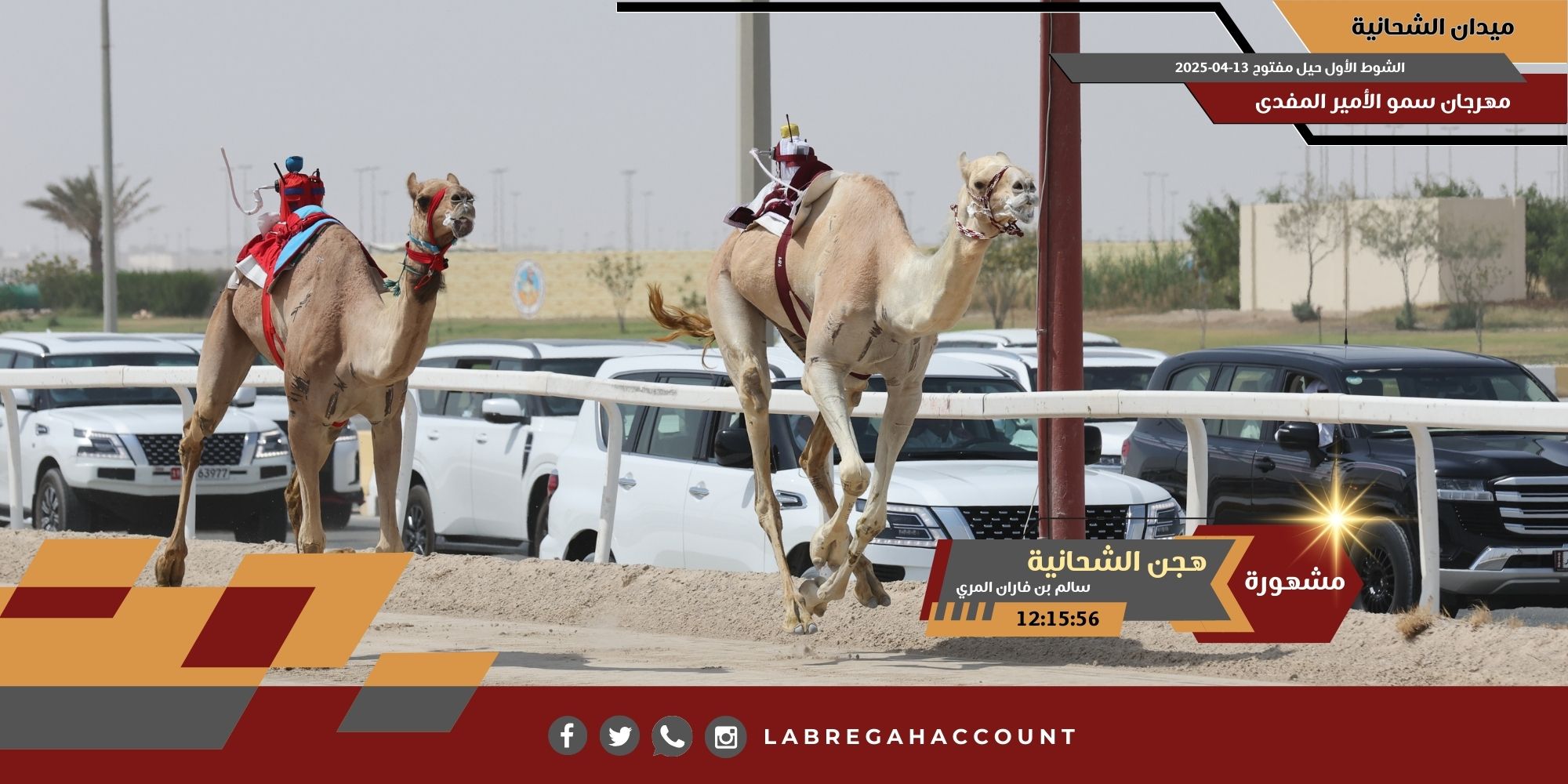 هجن الشحانية تتألق وتسيطر على ناموسي الحيل والزمول