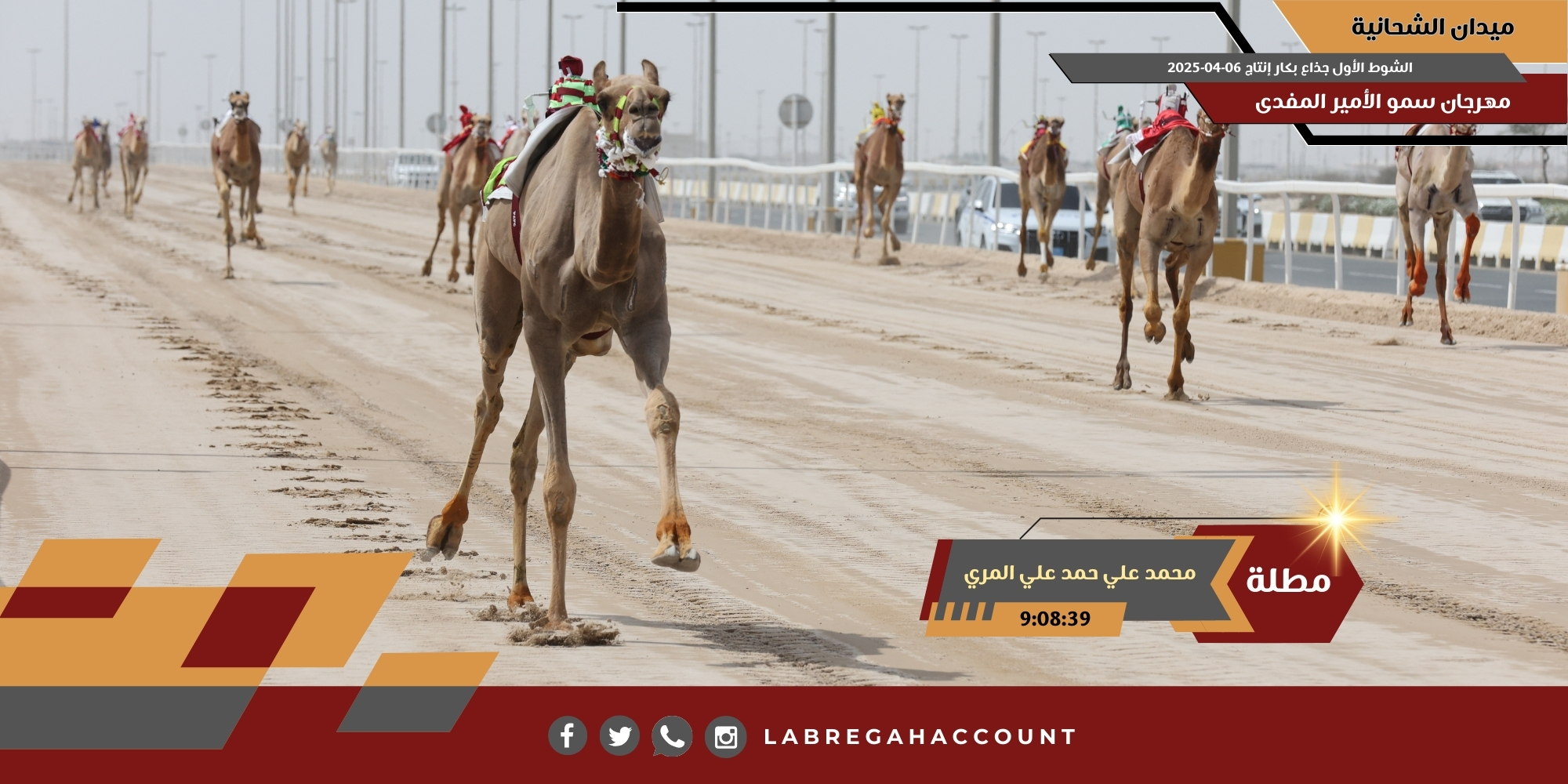 أشواط الإنتاج تثير حماس المشاركين بتحديات الجذاع المسائية