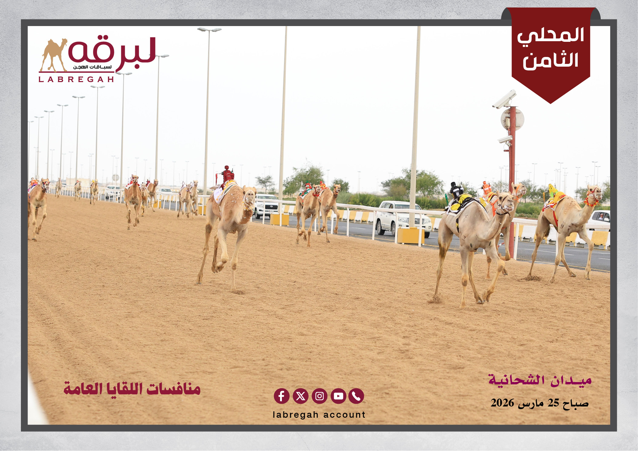 “دلما” لـفهيد العجمي و”مكرم” لـجابر النجم المري ينتزعان ناموسي اللقايا مفتوح